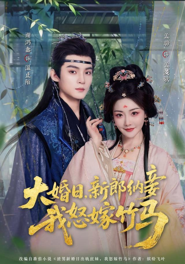 大婚日,新郎纳妾我怒嫁竹马